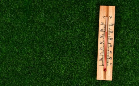 gazon bien vert et canicule avec un thermometre en bois