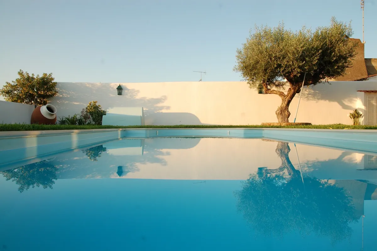 grande piscine reflets eau lumiere soleil ciel bleu arbre olivier sans fruits