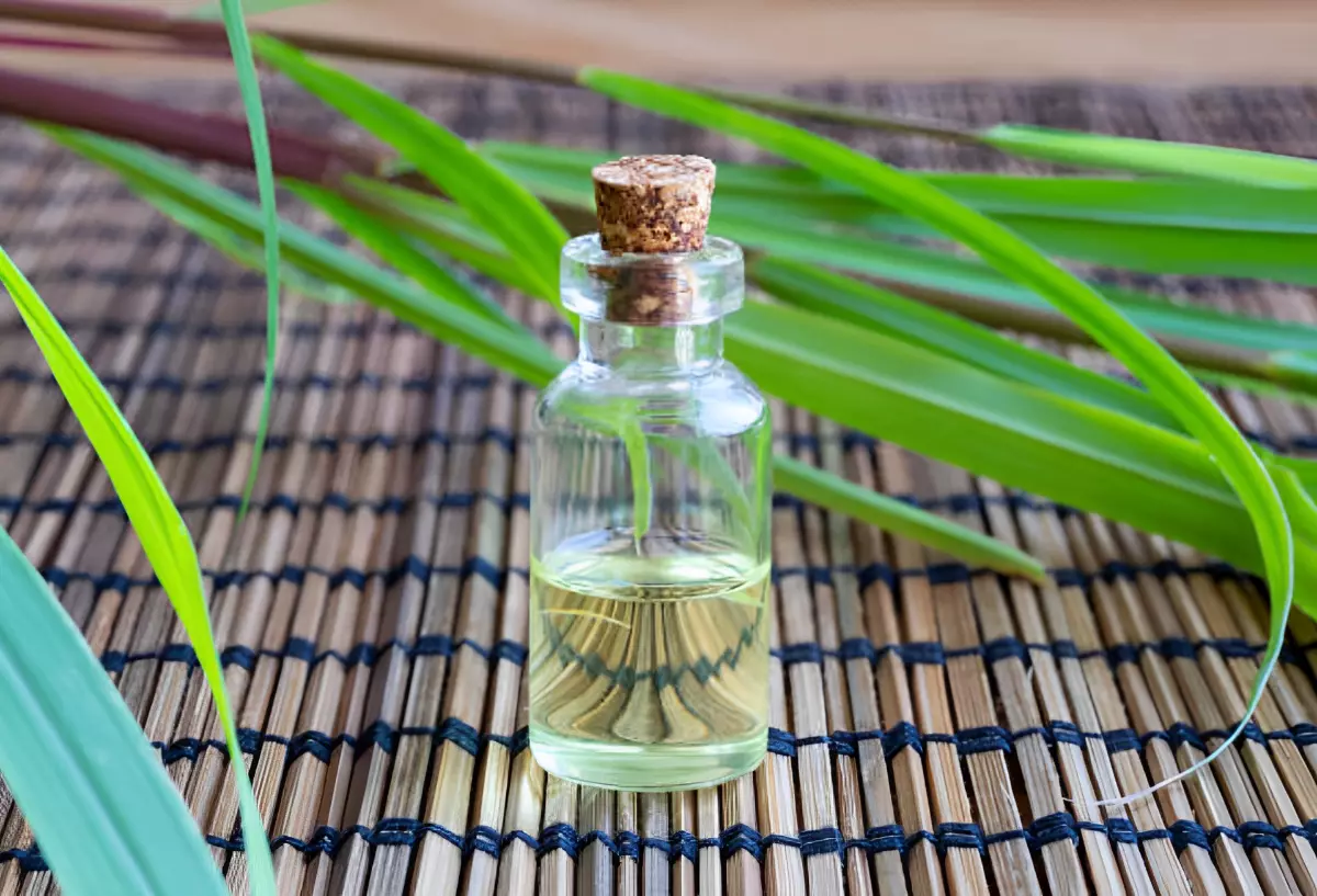 huile de citronnelle dans une petite bouteille en verre transparente sur fo d de quelques herbes