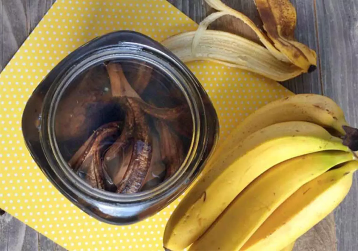 infusion de peaux de bananes dans un bocal vue de dessus avec des bananes a cote