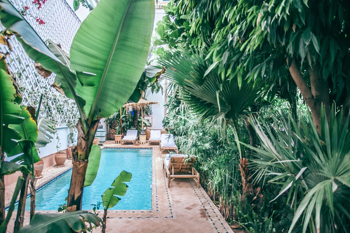 jardin mediterranee quelles plantes piscine bordure de plantes grillage grimpantes deco style mediterraneen