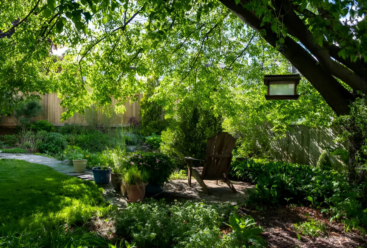 jardin ombrage sous la couronne d un grand arbre avec une chaise en bois a cote des pots fleuris
