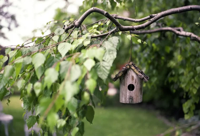 mangeoire oiseaux diy bois materiaux recup branches arbre feuilles vertes jardin