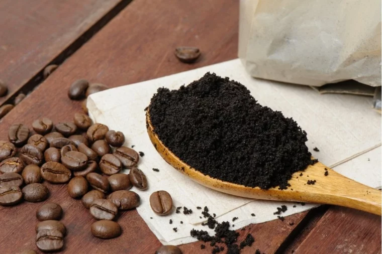 marc de café pour acidifier le sol