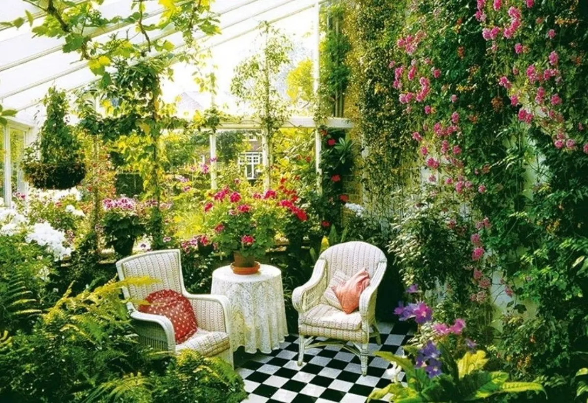 mur végétal extérieur naturel sans entretien dans unjardin