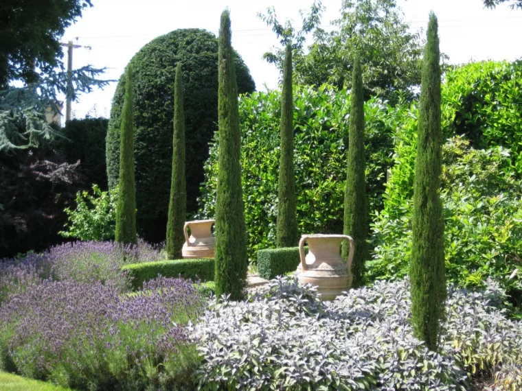 oyas et cypres de provence art topiaire arbustes taillées en formes variées plantes couvre sol méditerranéens