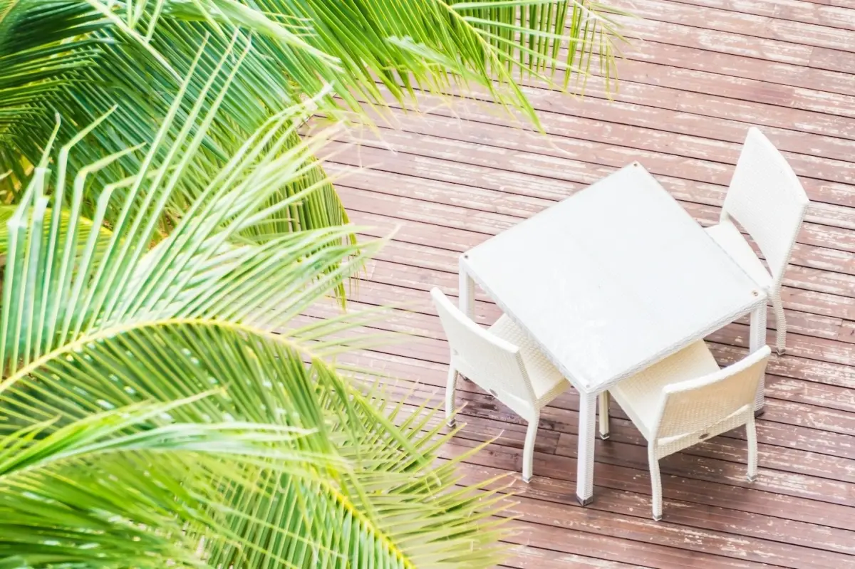 palmier exterieur arbre ombre naturelle terrasse bois meuble blanc plastique jauni
