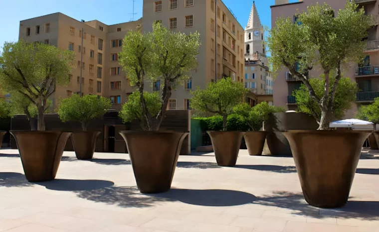 place publique ammenagee avec des pots geants avec des oliviers
