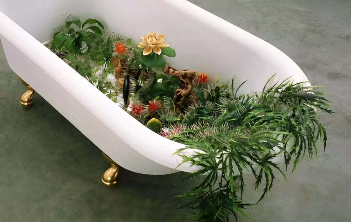 plantes regroupees dans une baignoire blanche sur fond un sol gris beton