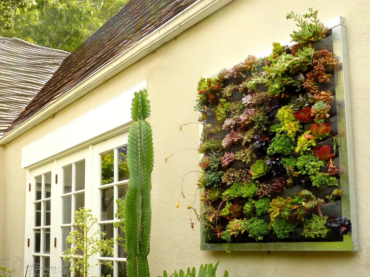 quelle plante pour un mur végétal extérieur