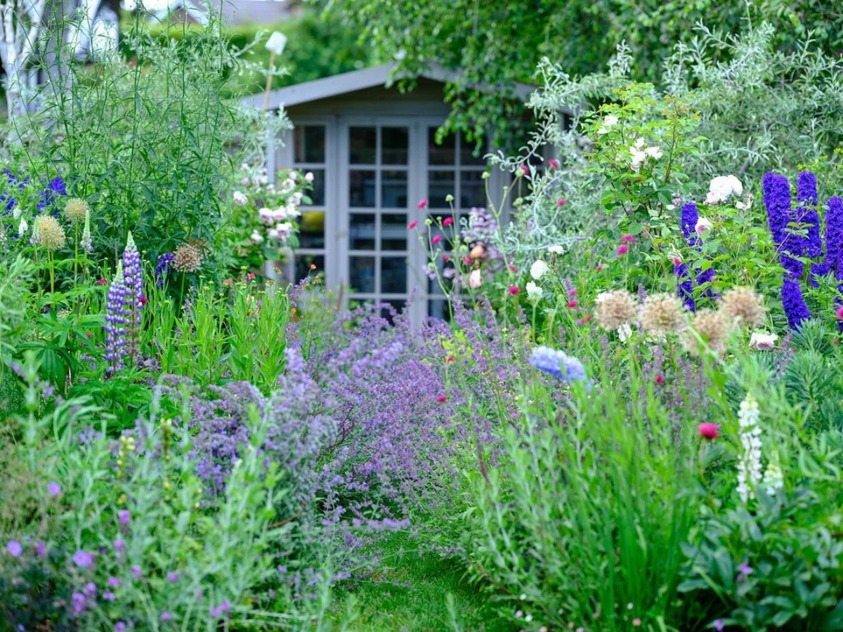 quelles plantes vivaces pour le jardin maison fleurs couleurs violettes