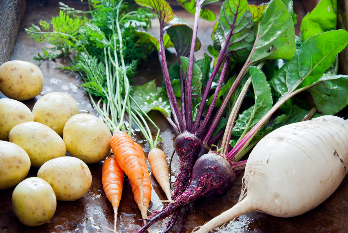 quels legumes planter ensembles guide detaille