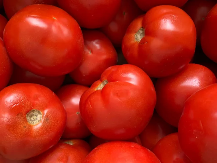 recolte de tomates trop mures variete recettes faciles et rapide anti gaspi