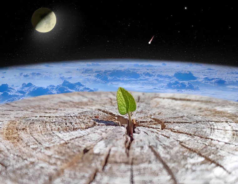 souche d arbre au milieu de laquelle pousse une plante devant l horizont de la planete terre et la lune dans un coin du ciel