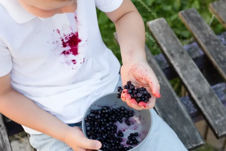 t shirt blanc enfant bol myrtilles comment enlever des taches de fruits rouges banc bois fonce