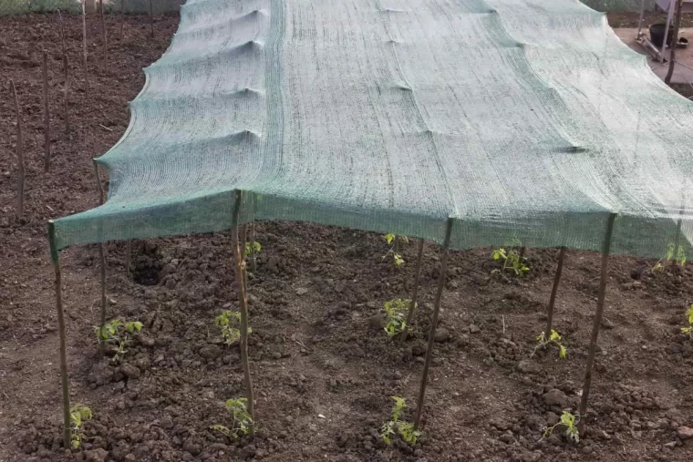 toile d ombrage couleur vert materiau batons bois support plantes potager