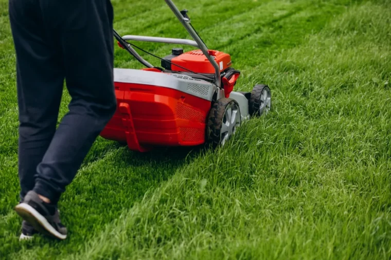 tondre la pelouse machine homme herbe hauteur outil jardinage appareil travaux