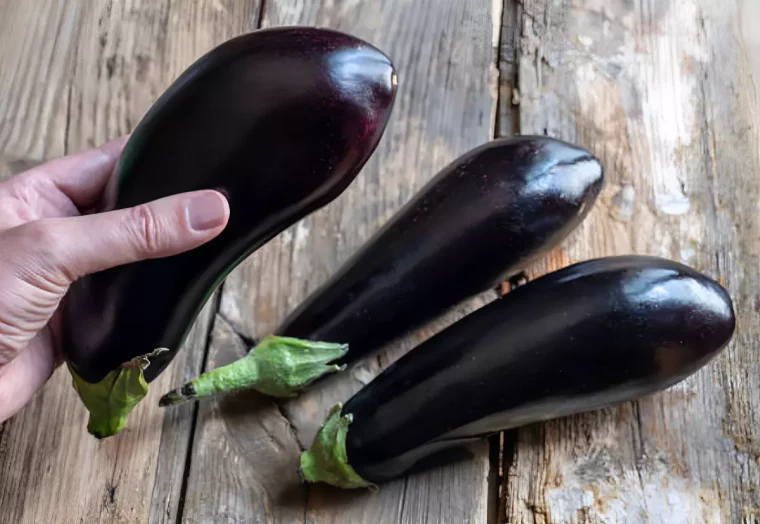 trois aubergines a peau brillante sur fond d une surface en bois et une dans une main