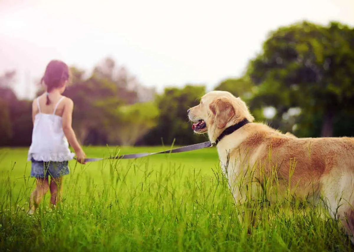 une petite fille et son chien sur la pelouse