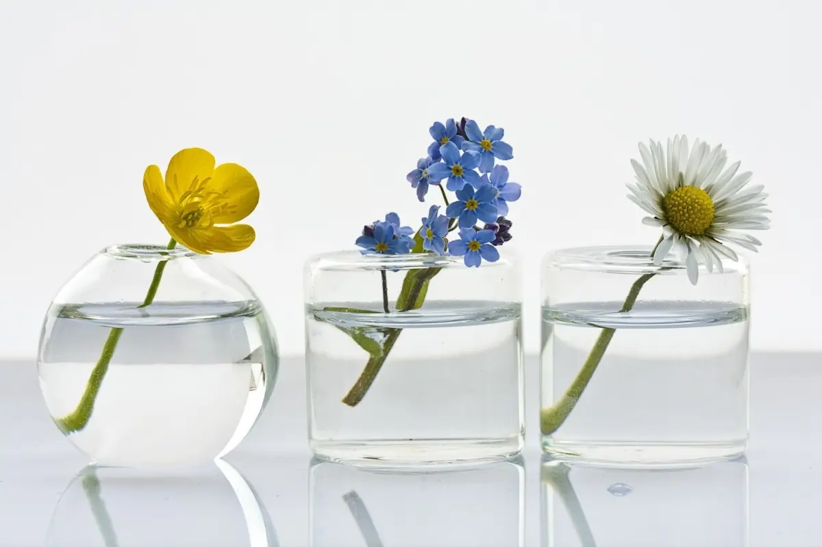 vase verre transparent fleurs coupees eau plantes jardin bouquets