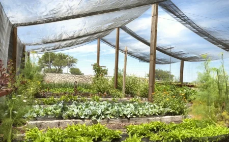 voile potager piquets bois comment proteger les legumes du soleil