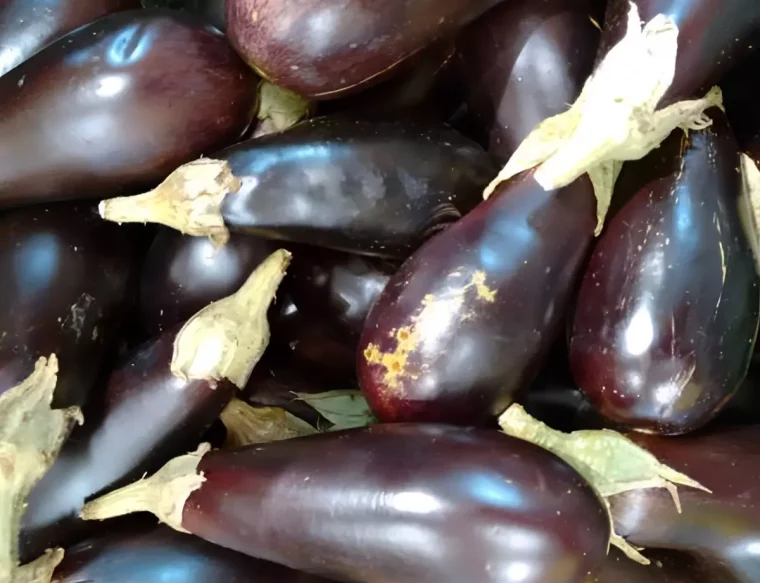 vue de dessus d un tas d aubergines trop mures