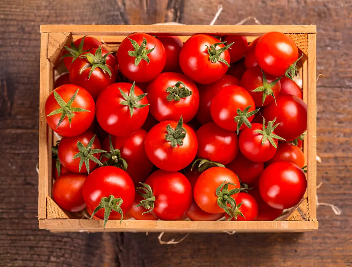 vue de dessus d une canette pleine de tomates rondes rouges