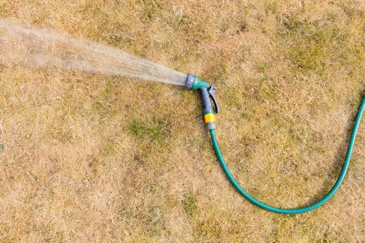 vue de dessus de tuyau d arrosage avec un jet d eau sur une pelouse jaunie