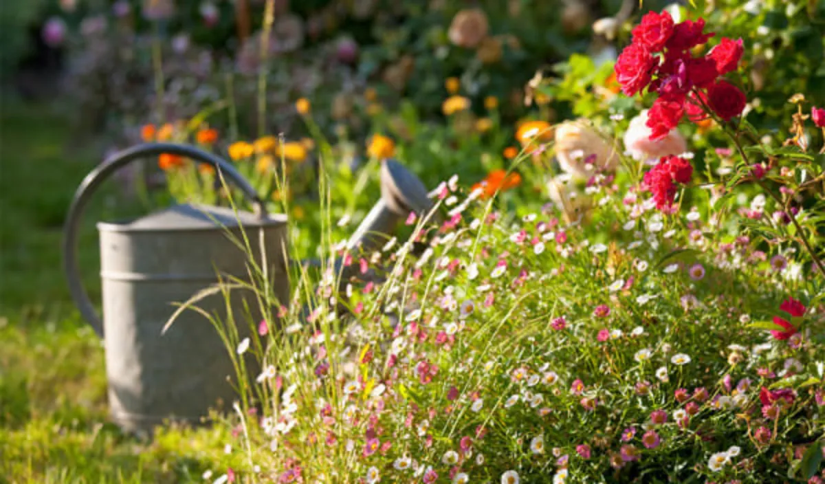10 idees de jardin gratuites tout pour lameliorer sans un depenser un centime plantes vivaces