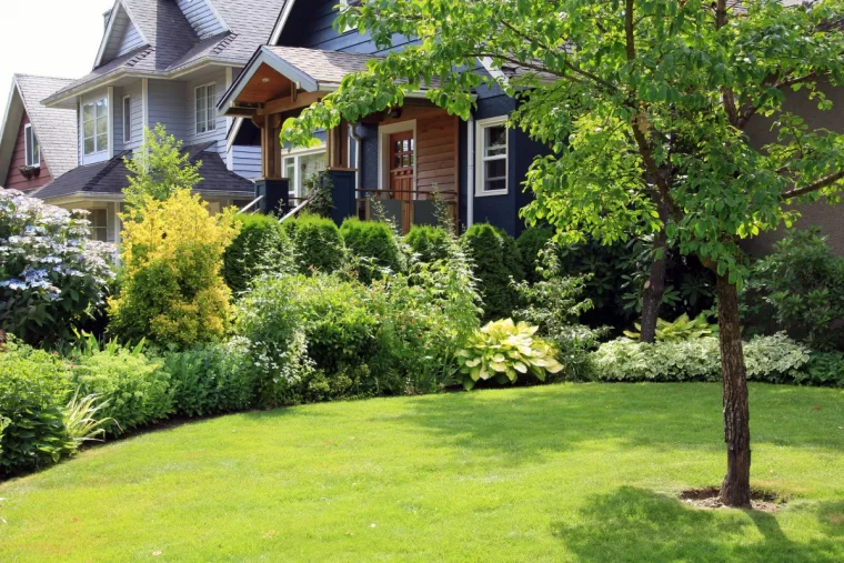 comment venir à bout des mauvaises herbes dans la pelouse sans se fatiguer pelouse davant unemaison