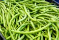 Comment faire des conserves de haricots verts en bocaux, sans stérilisateur ? Astuces de mamie