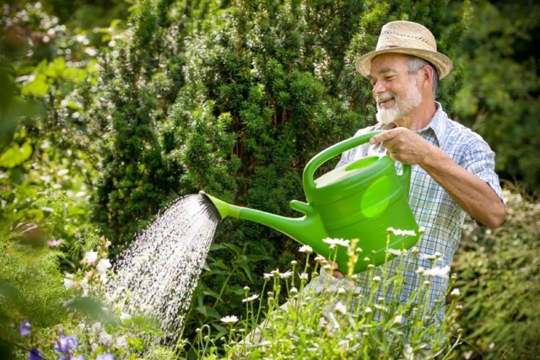 quel est le desherbant naturel le plus puissant jardinier pulverise buisson