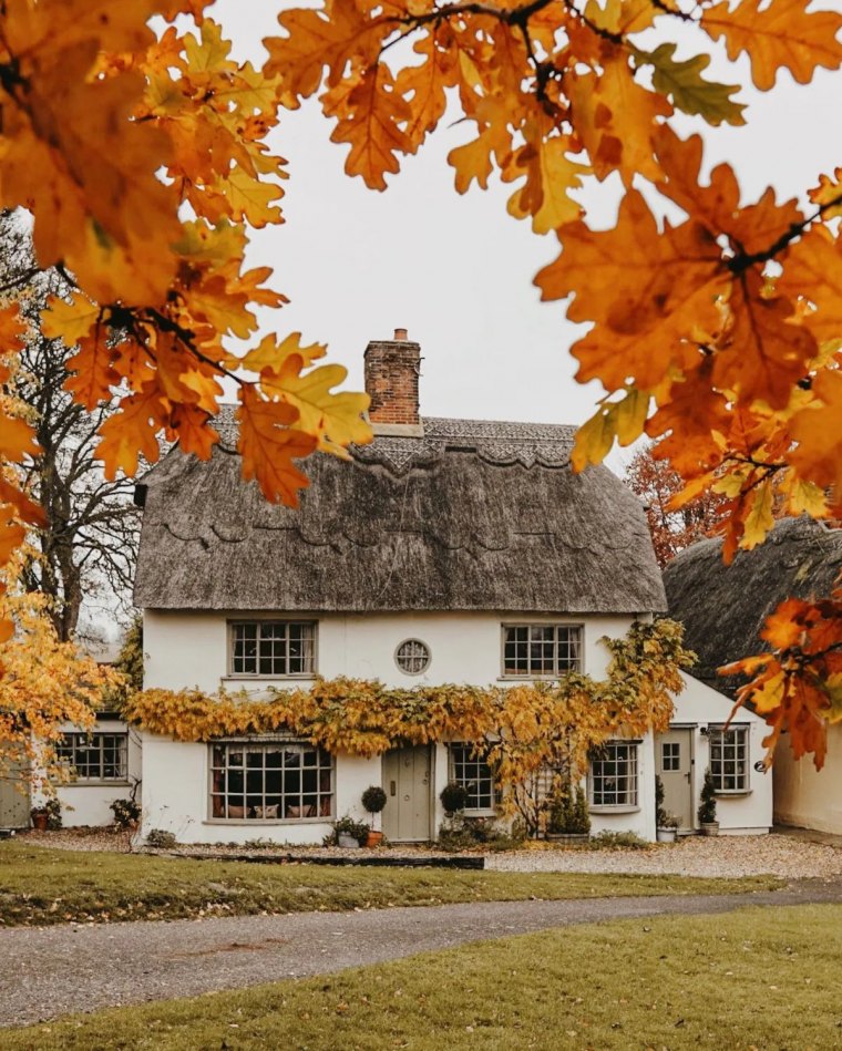 qui doit ramasser les feuilles mortes du voisin feuilles rouges aufond une maison de voisinage