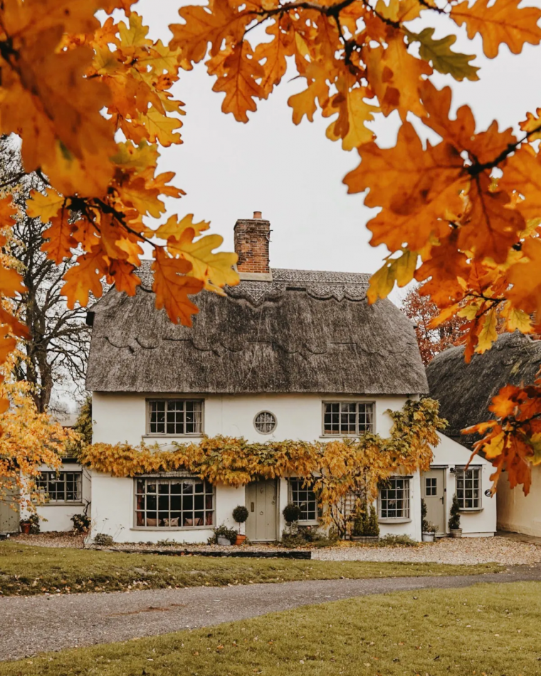 qui doit ramasser les feuilles mortes du voisin feuilles rouges aufond une maison de voisinage