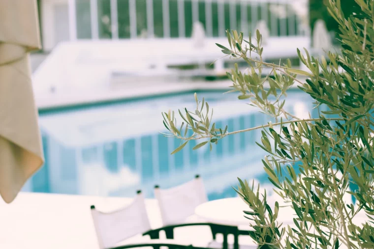 arbre feuilles vertes parasol chaise mettre autour d une piscine pas cher