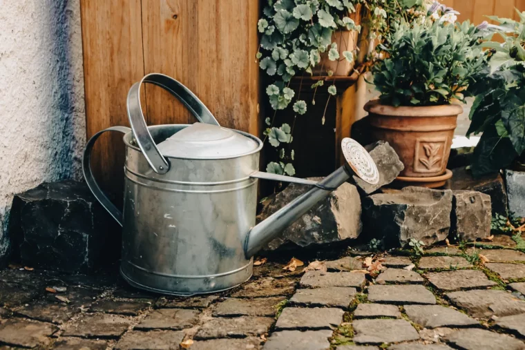 arroser les pots de plantes avec arrosoir astuces et idées