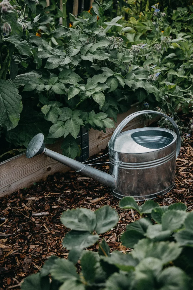 arroser son jardin pendant les vacances trucs et astuces de jardinier
