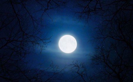 astronomie et astrologie super lune d aout 31 à quoi s attendre