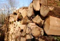 Comment acheter du bois de chauffage pas cher ? Secrets pour approvisionnement raisonnable