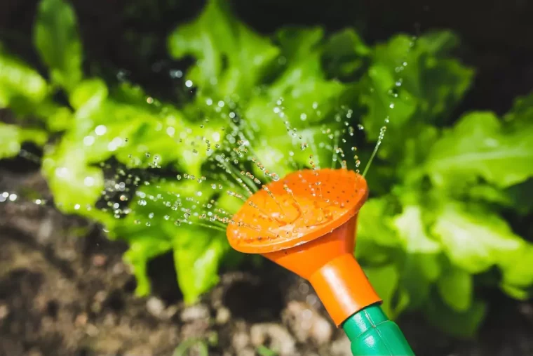 bout orange d un arrosoir avec des gouttelettes d eau sur fond flou de salades vertes