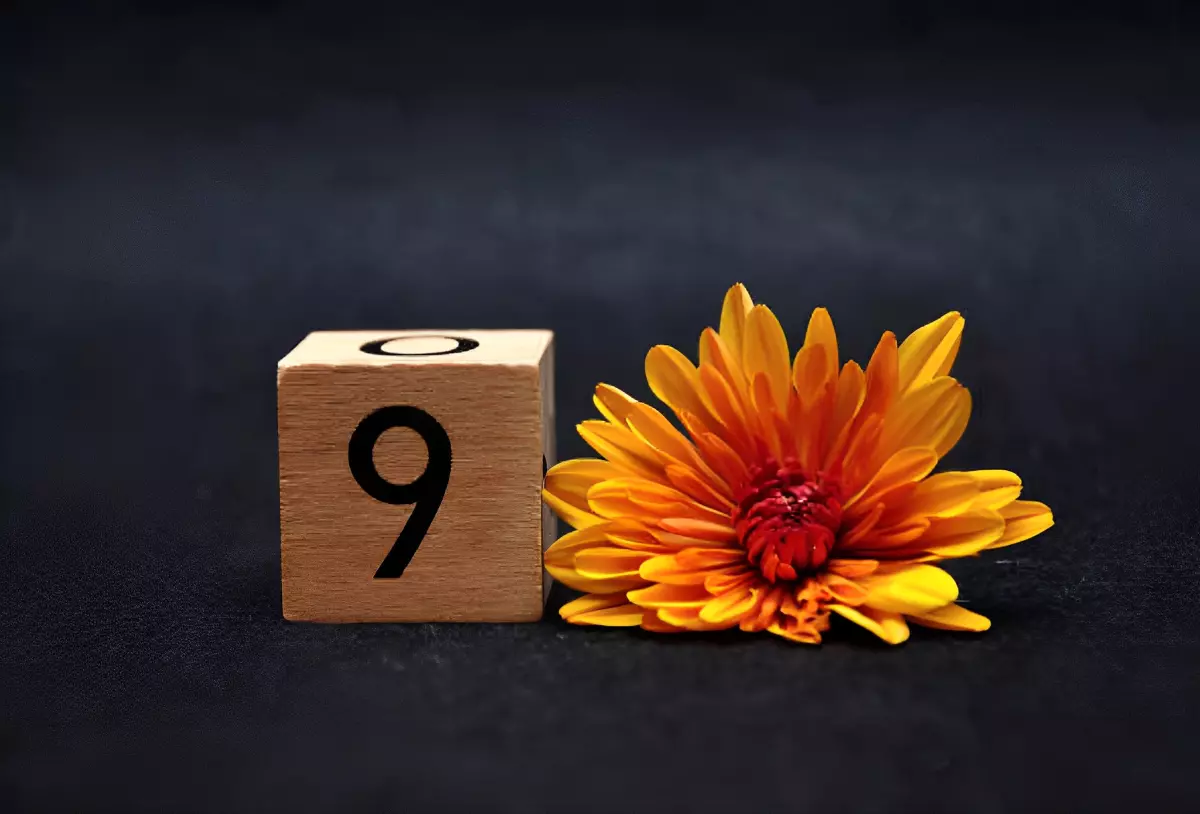 chiffre neuf sur cube en bois a cote d une fleur jaune sur fond noir