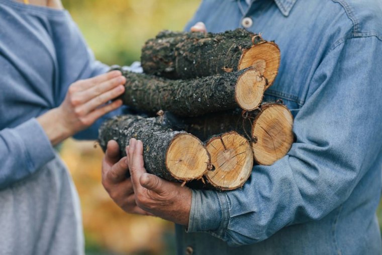 comment acheter du bois de chauffage pas cher mains grand pere fille tenue travail jardin maison