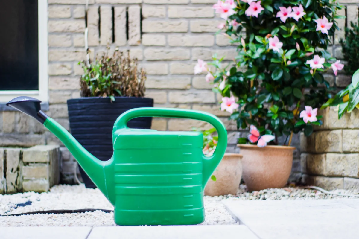comment arroser son jardin en été quant on part en vacances