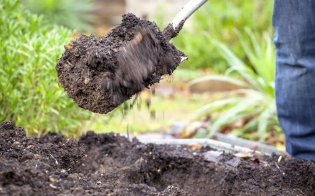 comment becher le jardin sans se fatiguer 6 methodes magiques couv