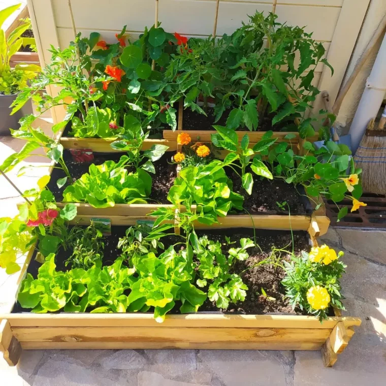 comment creer un potager urbain en aout bac avec des fleurs