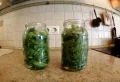 Comment faire des conserves de haricots verts en bocaux, sans stérilisateur ? Astuces de mamie