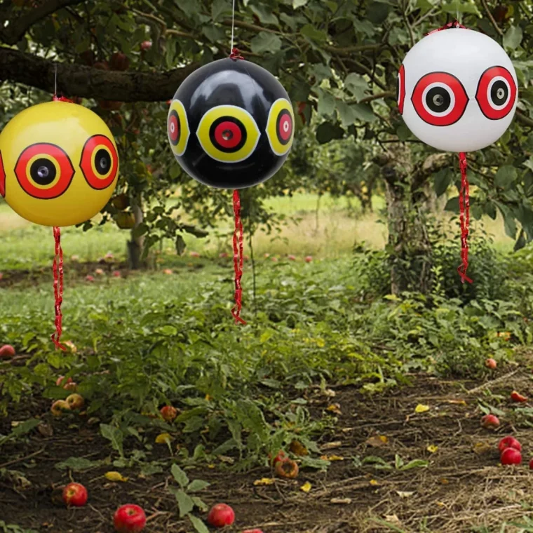 comment faire fuire les oiseaux du jardin avec des ballons éventail