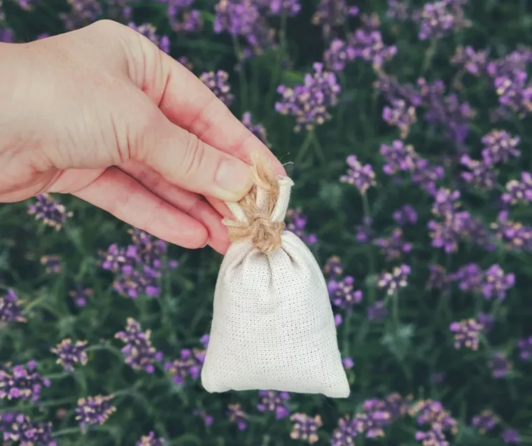 comment faire un sachet de lavande et quelle utilisation dans la maison