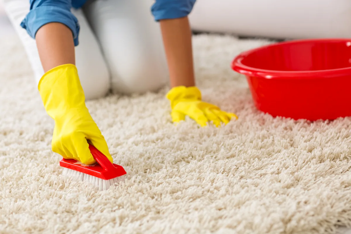 comment nettoyer en profondeur les tapis