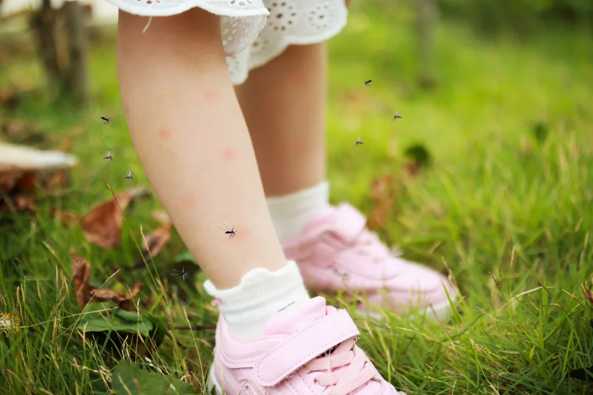 comment proteger les enfants des piqures d insectes